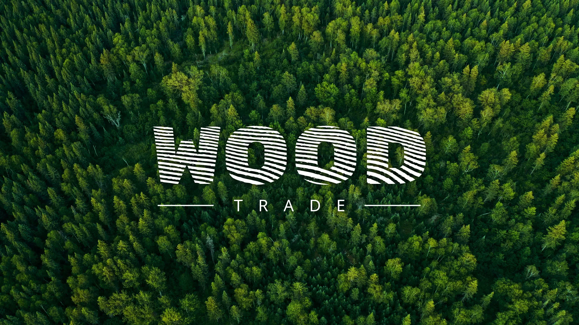 Разработка интернет-магазина компании «Wood Trade» в Октябрьском