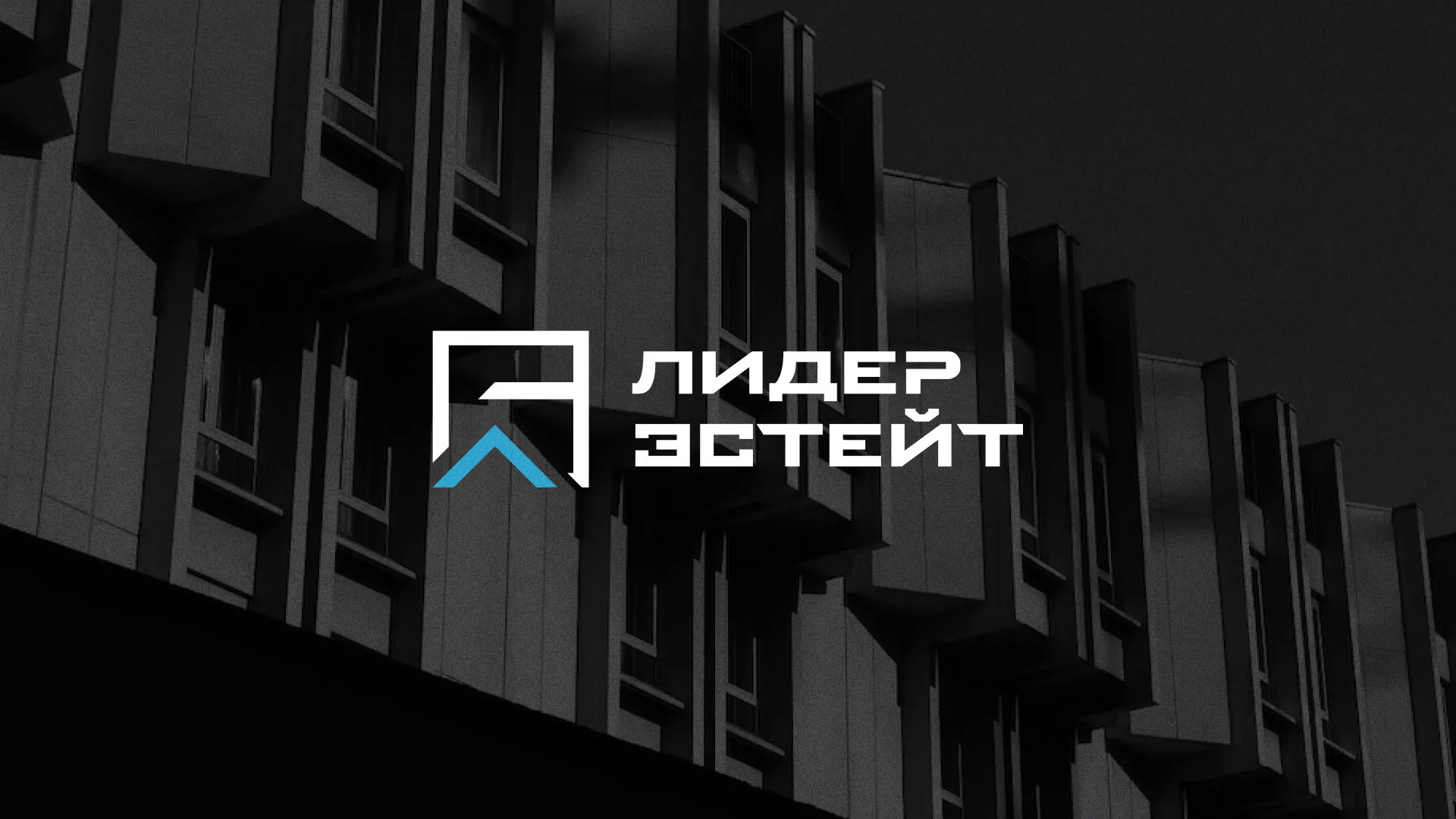 Разработка логотипа агентства недвижимости «Лидер Эстейт» в Октябрьском